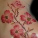Tattoos - Brush Painted Dogwoods - 50001
